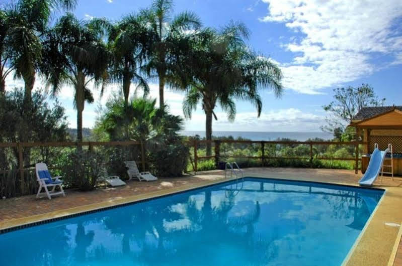 Ambience At Diggers Beach Coffs Harbour Dış mekan fotoğraf